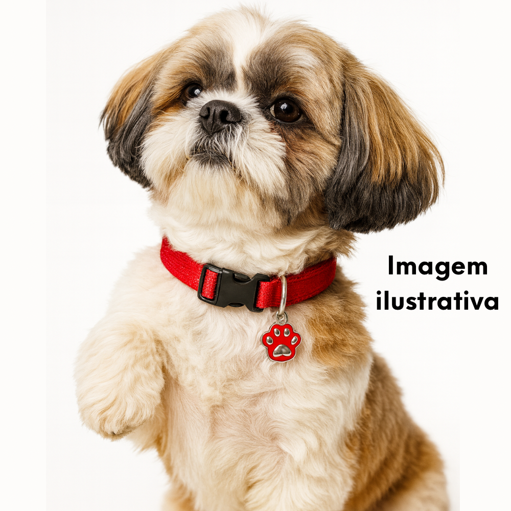 Coleira Cachorro Cotelli Camurça P