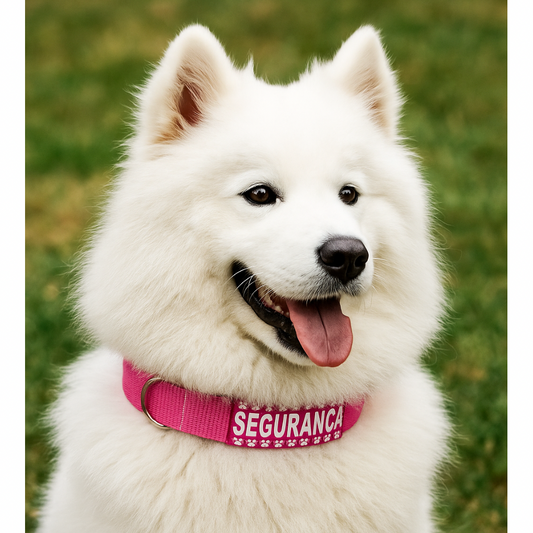 Coleira Segurança/Guarda-Costas Nylon Especial