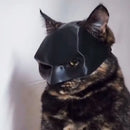 TONG Cat Bat Cool Man Mask Cat Avenger Mask Matte Cute Bat Mask Superhero Toys Cat Bat Pet