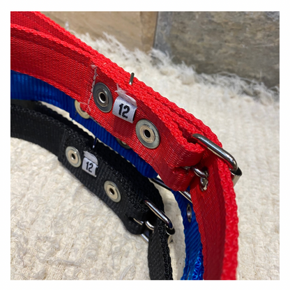 Coleira Segurança/Guarda-Costas Nylon Especial