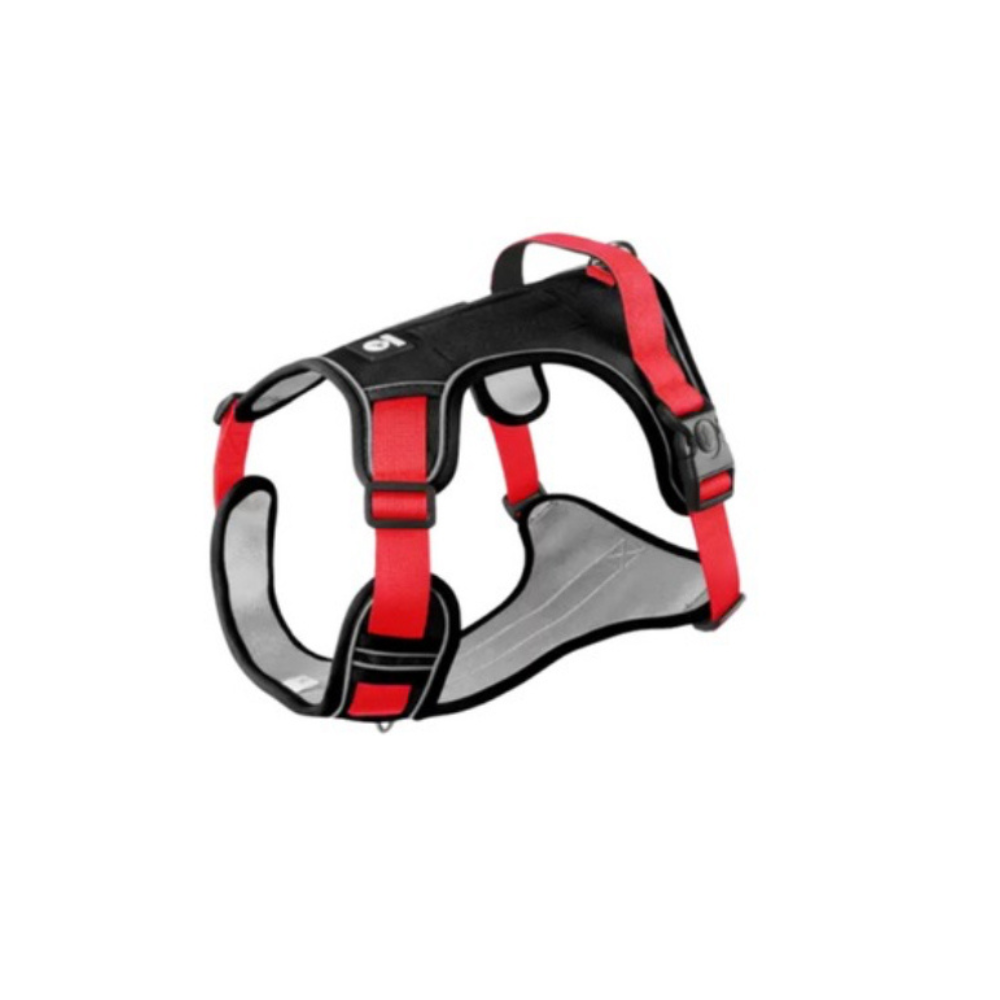 Peitoral Duomm Importado Porte Grande