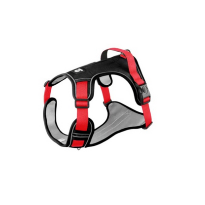 Peitoral Duomm Importado Porte Grande