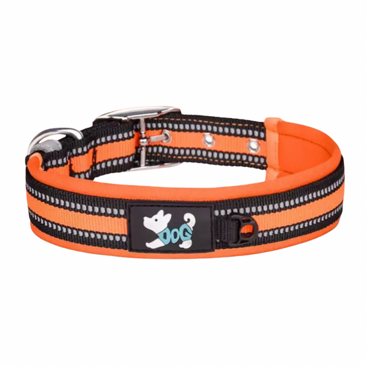 Coleira Zoopet Refletível