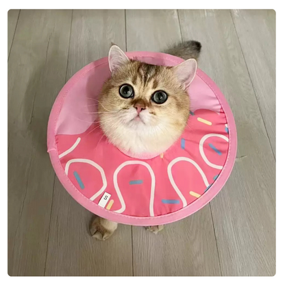Colar Elizabetano Ring Para Gatos
