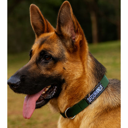 Coleira Segurança/Guarda-Costas Nylon Especial