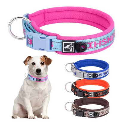 Coleira Premium Nailish Importada