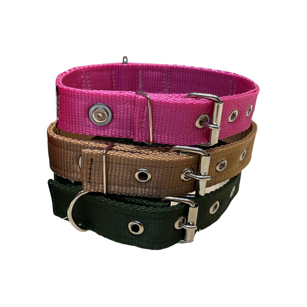 Coleira Segurança/Guarda-Costas Nylon Especial