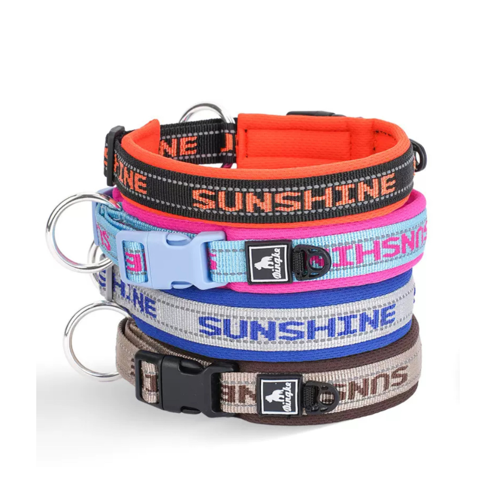 Coleira Premium Nailish Importada