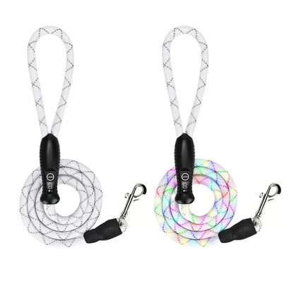 Guia Luminosa para cães