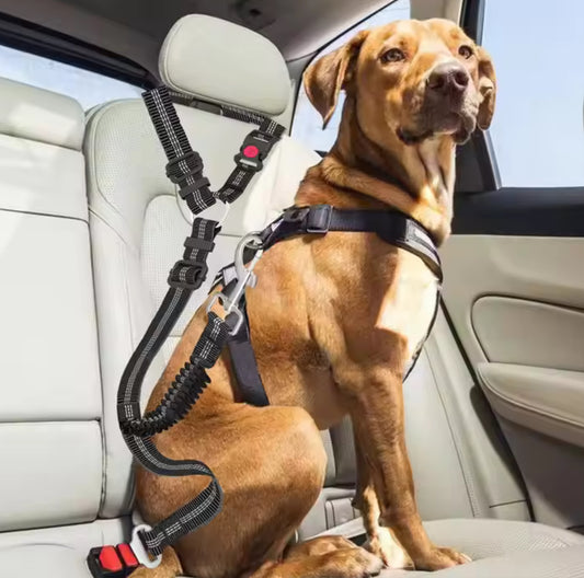 Cinto de Segurança 2 Pontas