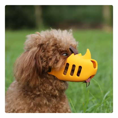 Focinheira de Passeio Rinoceronte