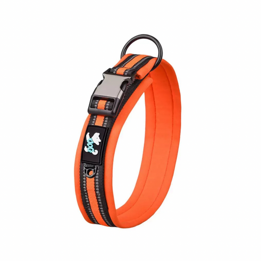 Coleira Zoopet Refletível