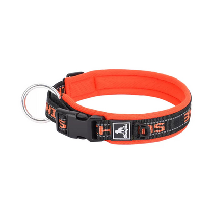 Coleira Premium Nailish Importada