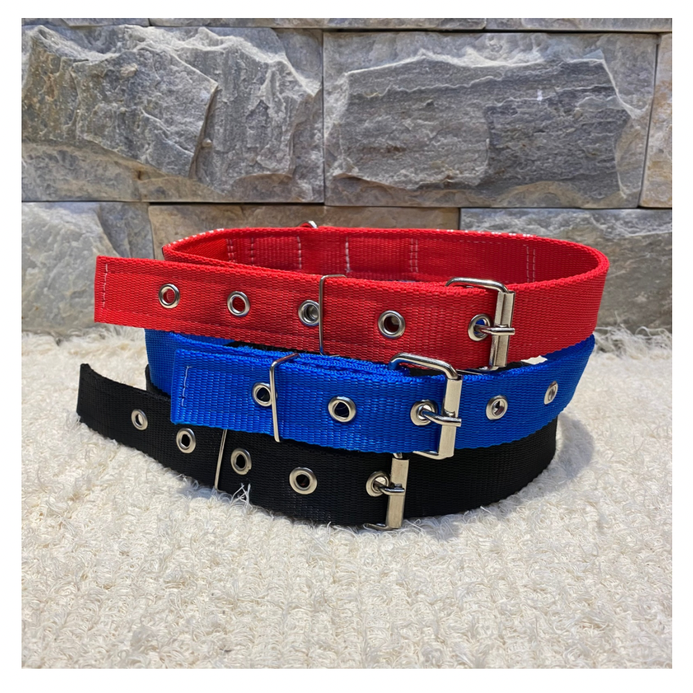 Coleira Segurança/Guarda-Costas Nylon Especial