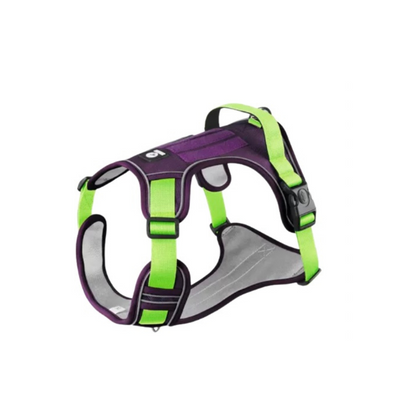 Peitoral Duomm Importado Porte Grande