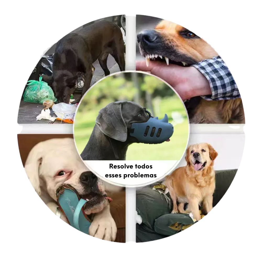 Focinheira de Passeio Rinoceronte