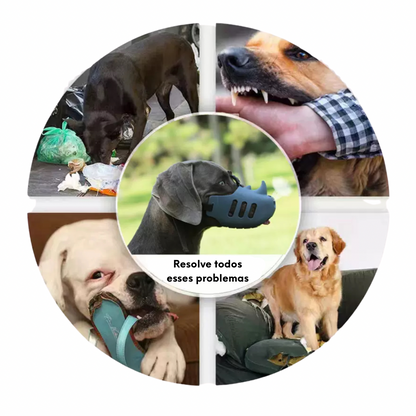 Focinheira de Passeio Rinoceronte