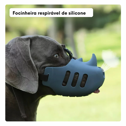 Focinheira de Passeio Rinoceronte