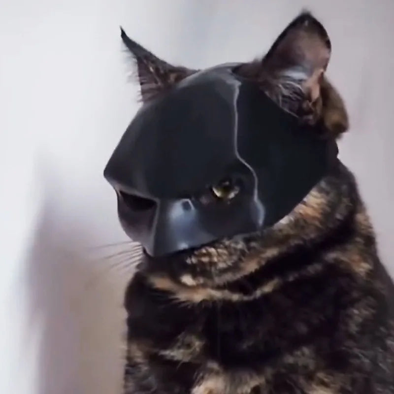TONG Cat Bat Cool Man Mask Cat Avenger Mask Matte Cute Bat Mask Superhero Toys Cat Bat Pet