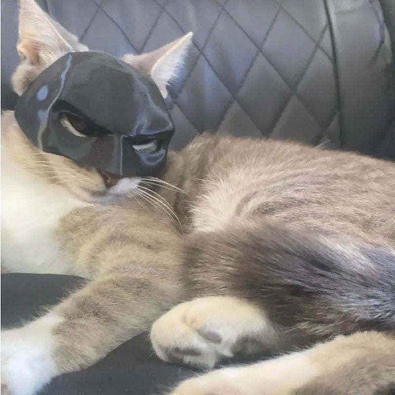 TONG Cat Bat Cool Man Mask Cat Avenger Mask Matte Cute Bat Mask Superhero Toys Cat Bat Pet
